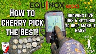 MUST Watch Minelab Equinox 900 Tutorial Helping YOU Find More!