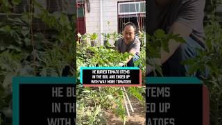 This farmer is a genius. #delicius #facts #food #cooking #youtube