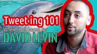 How to tweet professionally: David Levin, @the_dolphin_pub