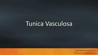 Pronunciation of the word(s) "Tunica Vasculosa".