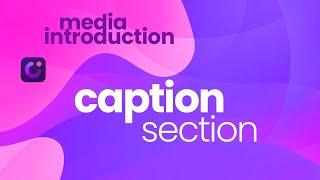 How to Add Caption Effects in DemoCreator