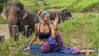 Vinyasa Power Flow Class  20 Minute Yoga | Cambodia Wildlife Sanctuary