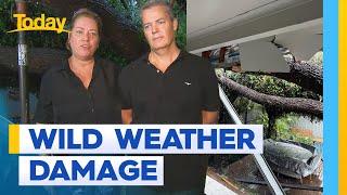 Family woken to neighbour's tree smashing through roof | Today Show Australia