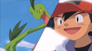 Ash's Treecko And Loudred Evolve