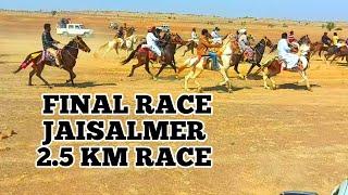 FINAL HORSE RACE JAISALMER RAJASTHAN IN DESERT FESTIVAL ,RACE DISTANCE 2.5KM MORE THAN 27 HORSES