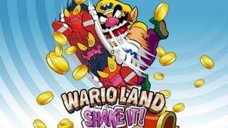 CGRundertow WARIO LAND: SHAKE IT! for Nintendo Wii Video Game Review