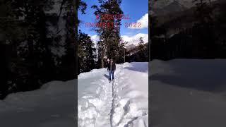 Himachal Kullu Manali Snowfall 2022 #snow #kullu #manali #snowfall