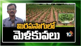 మిరపసాగులో మెళకువలు | Tips for Chilli Cultivation | Matti Manishi | 10TV News