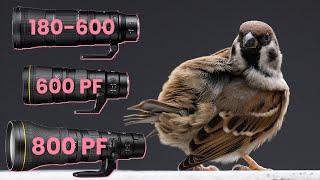 Nikon 180-600 vs 600 PF vs 800 PF