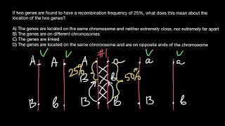 Chromosomal Crossover