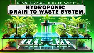 Hydroponics Training - Episode 21  (Drain to Waste System/Run To Waste) Hydroponic Farming Training