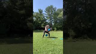 Freestyle Disc Moves  #bordercollie #canineathletes #discdogs #frisbee