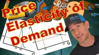 Micro 2.3 Price Elasticity of Demand