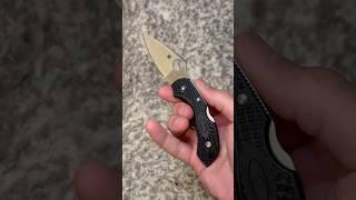 Spyderco Dragonfly Spydie Flick