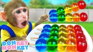  No No I Want To Go First Song  The Jello Color  | Donkey Monkey - Nursery Rhymes