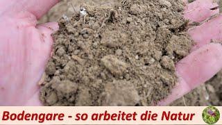 Bodengare - so arbeitet die Natur