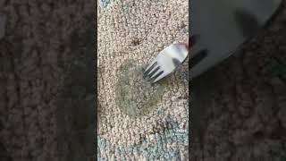 Putty in Carpet?!  BIG MESS!!! Mrs. Bench