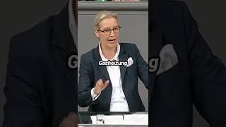 Alice Weidel stellt den 100 Tageplan der AfD vor! #afd