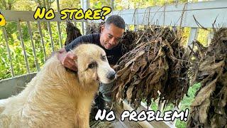 Out of Stock? Here's How to Give Your Animals Essential Minerals Without the Store!