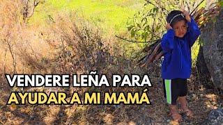 "Quiero vender leña para ayudar a mi mamá"