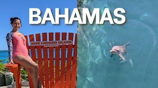 Nassau, Bahamas Dolphin Tour - Blue Lagoon Island - Royal Caribbean Cruise Trip