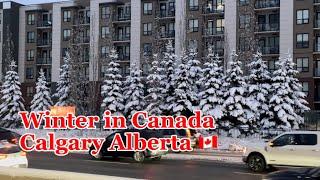 Winter in Calgary Alberta Canada