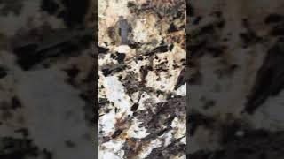 Alaska Gold Granite Laminated PVC translucent panel  lightweight panel from Tingida Stone