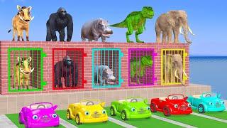 Cow Elephant Gorilla Pig Hippo T-Rex 3d Animal Long Slide Game Funny 3d Paint Animals Cage Game