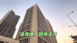 顺德40万大城，总价20万即可拥有一间