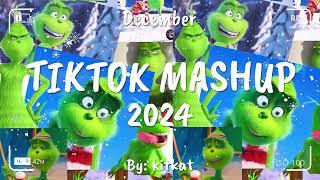 TIKTOK MASHUP DECEMBER 2024 (NOT CLEAN) 