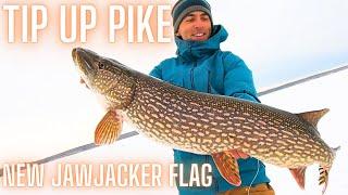 The Search for Northern Pike | Ice Fishing