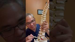 What causes Neck Pain in Western Medicine ( short lecture)