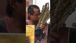 JAMAICA - THE HUSTLER’S HOLY BOOK