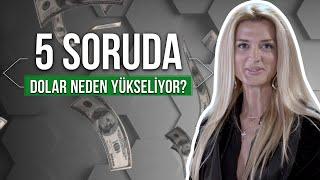 Dolar Neden Yükseliyor? Dolar 20 TL Olur mu?