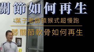 葉子老師猿猴式超慢跑晨練精華：膝關節軟骨如何再生（字幕版）