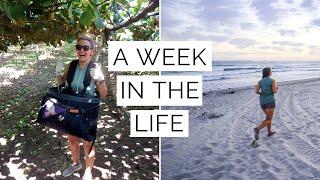 A Week In The Life | Kiwi Picking & Full Time Van Life