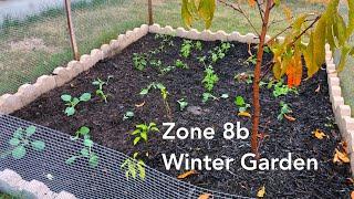 Austin Texas - Zone 8B - Winter Garden 2020