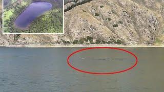 Mysterious 50-foot ‘monster’ spotted in lake in China