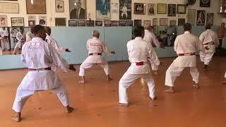 Shinshukan - Kata Shorin-Ryu Gojyu Shiho - Aula Especial - Santos 26/Jan/20