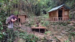 365 Tage im Wald leben: Holzhäuser bauen, nach Nahrung suchen, Land für die Landwirtschaft erkunden