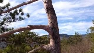 Rattlesnake (nearby Ashland, NH) Mountain spectacular view!