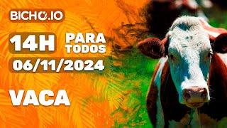 Resultado ao vivo PARATODOS # 14H - PT - 06/11/2024