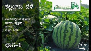 Profitable Watermelon Cultivation | ಲಾಭದಾಯಕ ಕಲ್ಲಂಗಡಿ ಬೆಳೆ