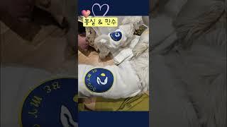 천사들 착샷🩵비마이독 로고자수 티셔츠&원피스