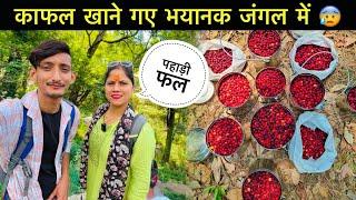 काफल लेने भयानक जंगल जाना पड़ा | Pahadi Fruit Kafal | Pahadi Lifestyle Vlog