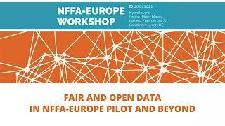 FAIR and open data in NFFA-Europe Pilot and beyond