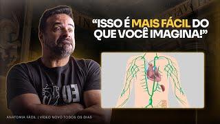 NUNCA FOI TÃO FÁCIL ENTENDER O SISTEMA LINFÁTICO! - #anatomiafacil