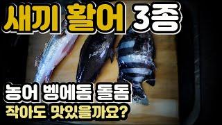 자연산 새끼활어 (돌돔, 벵에돔, 농어) 회뜨기 및 맛 평가