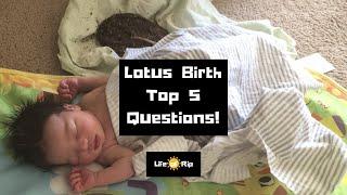 Lotus Birth: Top 5 Questions i have been asked