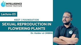 L3 Pistil ,Megasporangium |SEXUAL REPRODUCTION IN FLOWERING PLANTS |By Dr. Haider sir (MBBS)|#neet